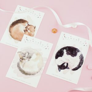 Postcards – Sleeping Kitten