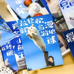 Postcards – Cat Photography